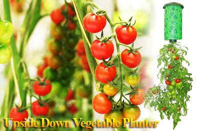 2 x Upside Down Tomato and Vegetable Planter