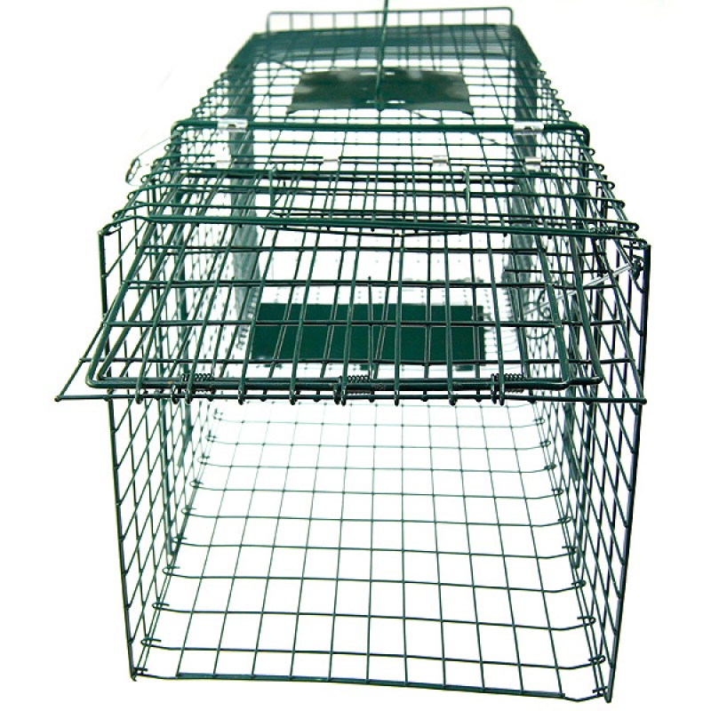 Extra Large Folding Humane Live Animal Trap Cage