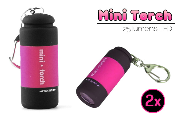 FREE Ozstock Day: 2x LED Mini-torch with Batteries and Keyring