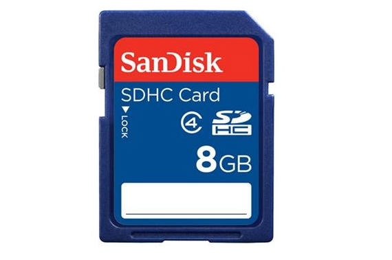 SanDisk 8GB SD SDHC Card (Class 4)
