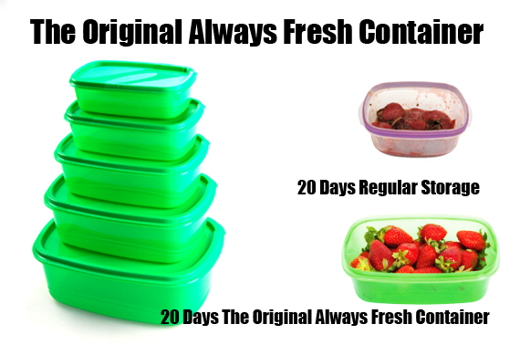 The Original 10-Piece Always Fresh Containers