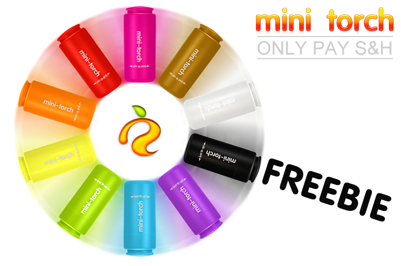 FREE Ozstock Day: USB Rechargeable Mini Flashlight