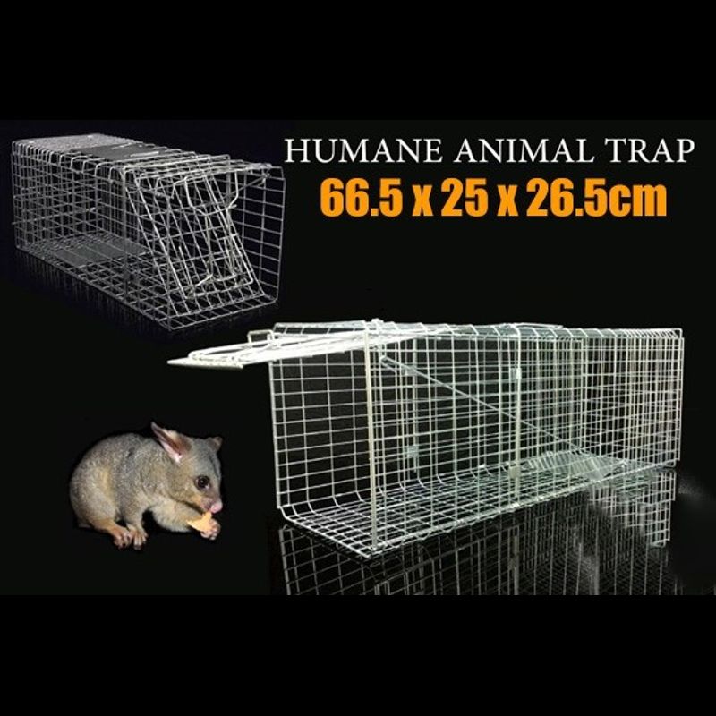 Live Humane Animal Traps Transport Folding Cage