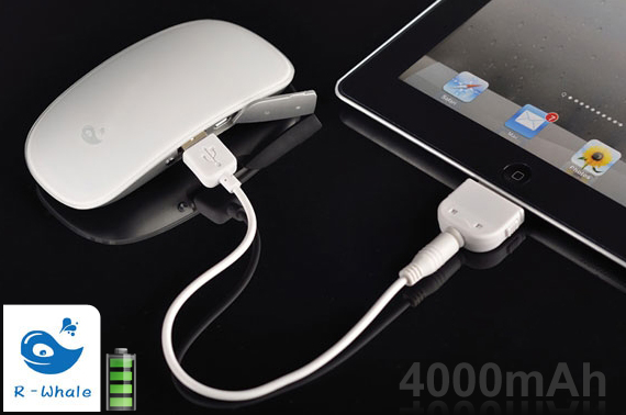49% off R-Whale Universal USB Rechargeable Power Bank, 1-Day Deal for 24.98$ @ OzStock.com.au