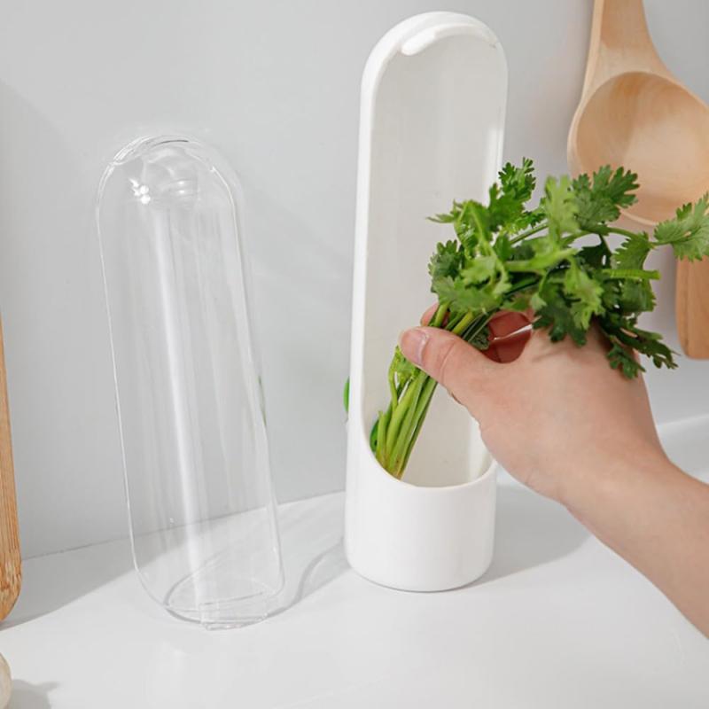 Freshness Keeper Set for Herbs & Veggies - Mint, Coriander Preservation Cups with Hydroponic Storag