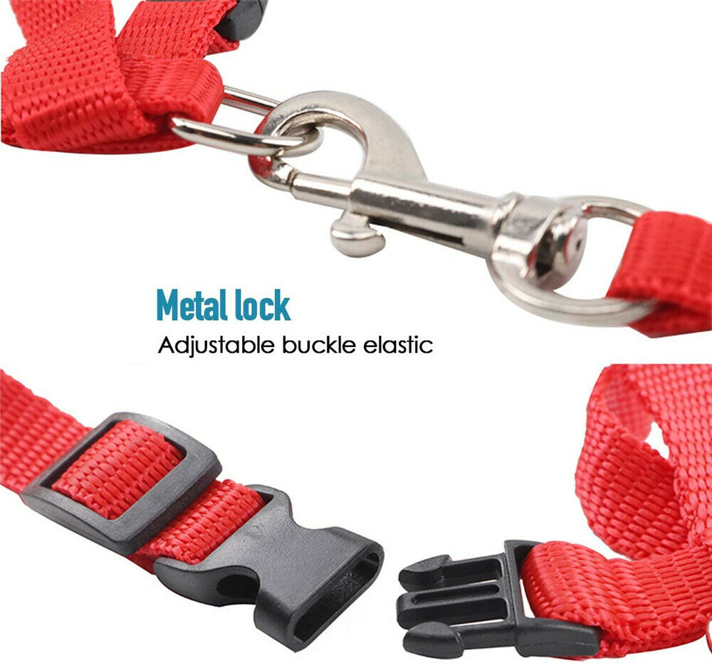 Cat Collar Safety Buckles Fish style 12.5mm 50-1/2'' 