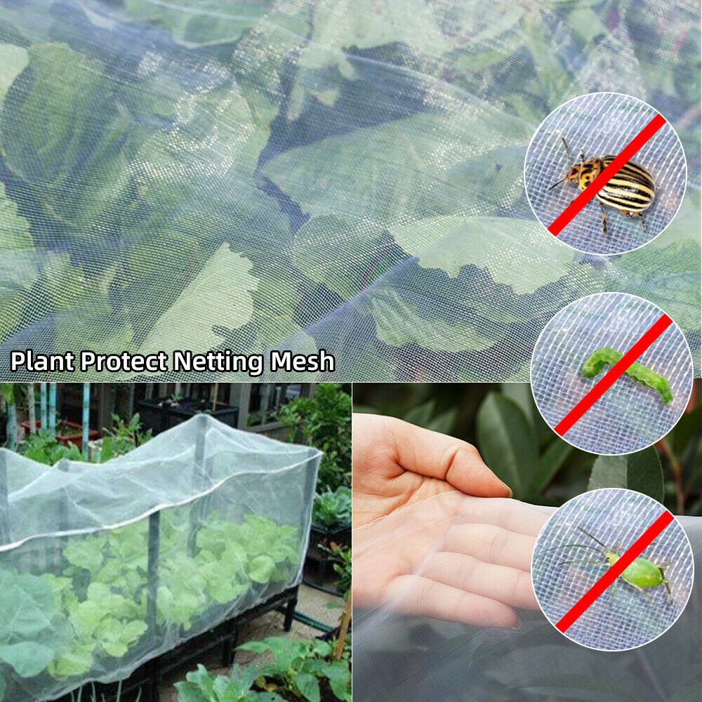 Durable and Reusable Garden Protection from Animals Mesh : 100 , Size : 1m x 3m Fine Mesh Netting for Plants Netting for Plants Vegetable Garden Netting 0.5mm
