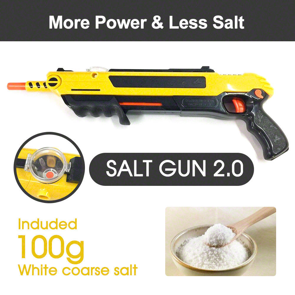 Salt Gun for flies bees stink bugs Insect mosquito Bug