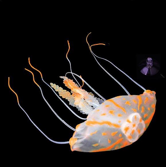 Small Glowing Artificial Jellyfish for Aquarium
