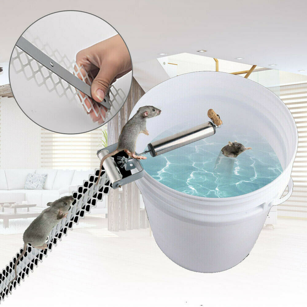 Walk The Plank Mouse Trap Roller Catch Mice Auto Reset Humane Bucket