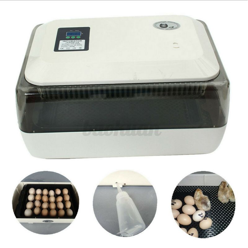 Janoel 24 Eggs Incubators For Hatching Eggs Temperature, 44 OFF