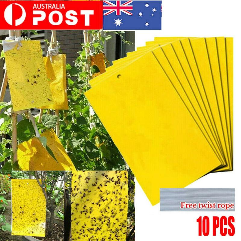 50 Pcs Yellow Sticky Glue Paper Insect Trap Catcher Killer Fly Aphids Wasp Set 