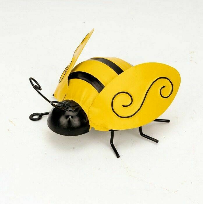 fly