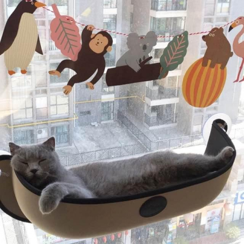 fly