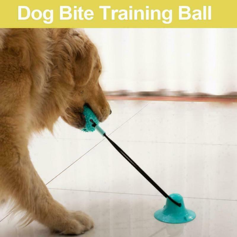 Free shipping Interactive Rubber Pet Molar Bite Floor Suction Cup Dog Balls Puppy Chew Toy AUS