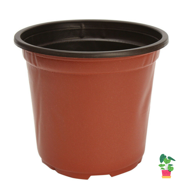 Free shipping Free Shipping 100 PCS Plastic Plant Flower Pots 4 sizes Nursery Seedlings Container Fl
